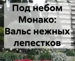Популярная книга Под небом Монако: Вальс нежных лепестков под авторством Марина Азурева вы можете прочитать в хорошем качестве на сайте нашего познавательного портала teach.chistoug.ru в формате FB2, TXT, PDF, EPUB бесплатно без регистрации.. Смотреть фото Популярная книга Под небом Монако: Вальс нежных лепестков под авторством Марина Азурева вы можете прочитать в хорошем качестве на сайте нашего познавательного портала teach.chistoug.ru в формате FB2, TXT, PDF, EPUB бесплатно без регистрации.. Смотреть картинку Популярная книга Под небом Монако: Вальс нежных лепестков под авторством Марина Азурева вы можете прочитать в хорошем качестве на сайте нашего познавательного портала teach.chistoug.ru в формате FB2, TXT, PDF, EPUB бесплатно без регистрации.. Картинка про Популярная книга Под небом Монако: Вальс нежных лепестков под авторством Марина Азурева вы можете прочитать в хорошем качестве на сайте нашего познавательного портала teach.chistoug.ru в формате FB2, TXT, PDF, EPUB бесплатно без регистрации.. Фото Популярная книга Под небом Монако: Вальс нежных лепестков под авторством Марина Азурева вы можете прочитать в хорошем качестве на сайте нашего познавательного портала teach.chistoug.ru в формате FB2, TXT, PDF, EPUB бесплатно без регистрации.